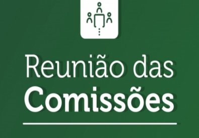 REUNIAO DAS COMISSOES.jpg
