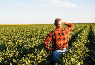 recuperacao produtor rural