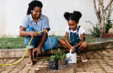 sustentabilidade