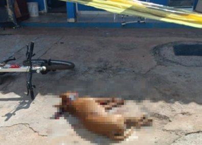 ATAQUE PIT BULL.jpg
