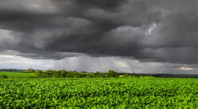 CHUVA-AGRONEGOCIO.jpg