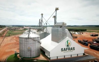grupo safras