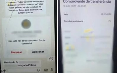 GOLPE DELEGADO.jpg