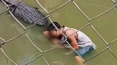 ATAQUE CROCODILO.jpg