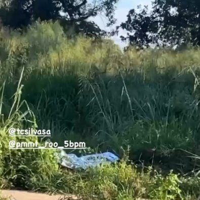 idoso atropelado roo.jpg