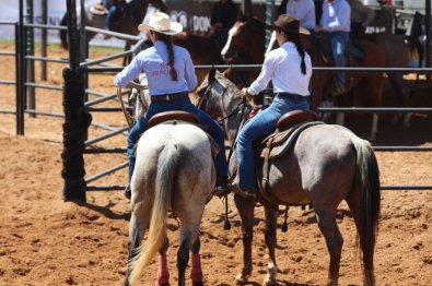 semana do cavalo