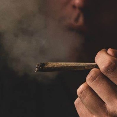 maconha .jpg