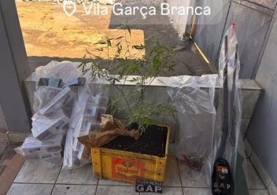 extorsao garca branca.jpg