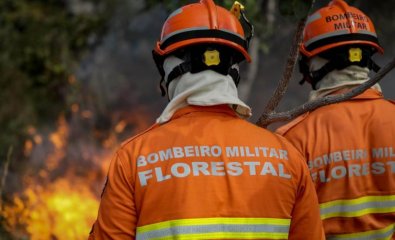 BOMBEIRO MILITAR FLORESTAL.jpg
