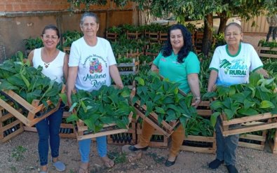 agricultoras.jpg