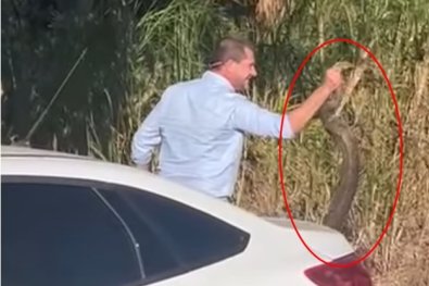 PREFEITO-COBRA.jpg