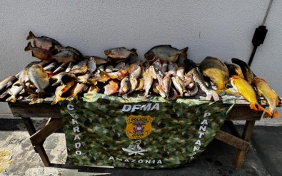 PESCADO IRREGULAR.jpg