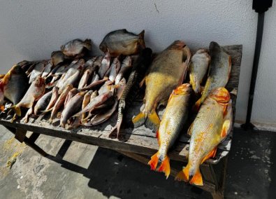 PESCADO IRREGULAR1.jpg