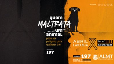 AL-CAMPANHA.jpg