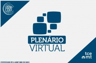 PLENARIO VIRTUAL.jpg
