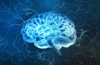 cerebro.jpg