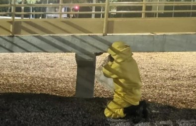 ACAO BOMBEIROS.jpg