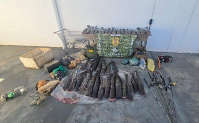 PESCA PREDATORIA.jpg