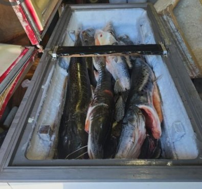 PESCADO IRREGULAR1.jpg