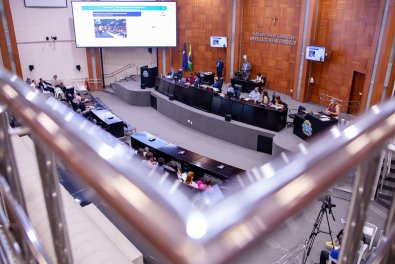 al-plenario-assembleia.jpg