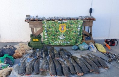 PESCADO IRREGULAR.jpg