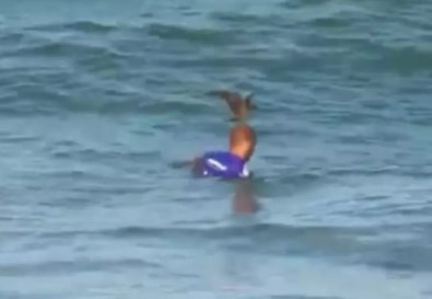 SURFISTA - AVE.jpg