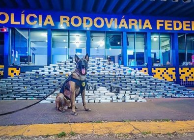 PRF 400 kg roo.jpg