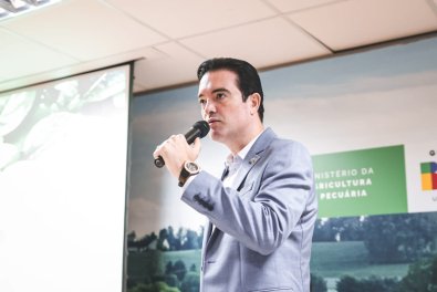 leo bortolin
