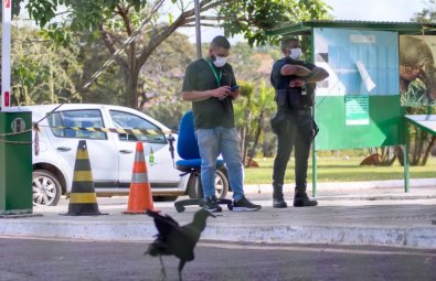 zoologico brasilia2.jpg