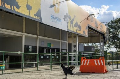 zoologico brasilia.jpg