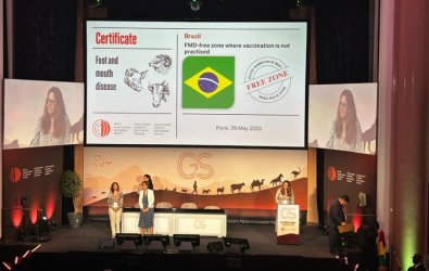 certificacao-aftosa2.jpg