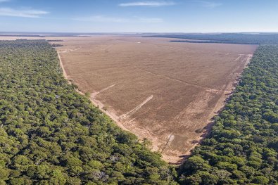 amazonia-desmate.jpg