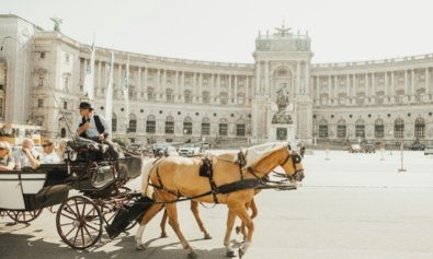 VIENA.jpg