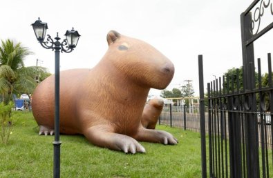 CAPIVARA RONDONOPOLIS.jpg