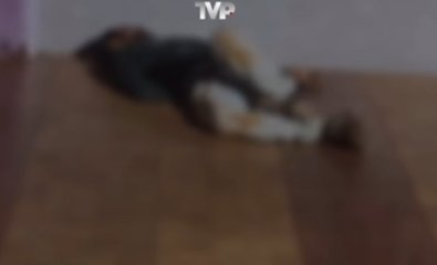 homicidio-domaquino-roniclei