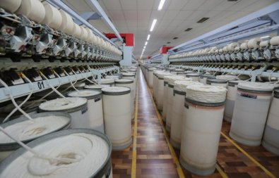 agroindustria.jpg