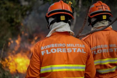incendio florestal