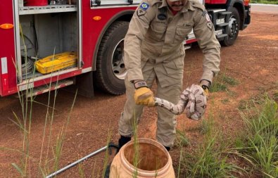bombeiros-serpernte.jpg