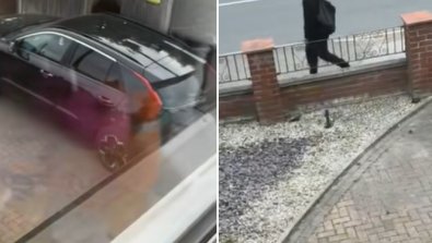 ASSALTO TIK TOK.jpg
