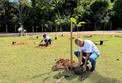 dia do meio ambiente.jpg