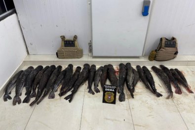 pescado ilegal barao.jpg