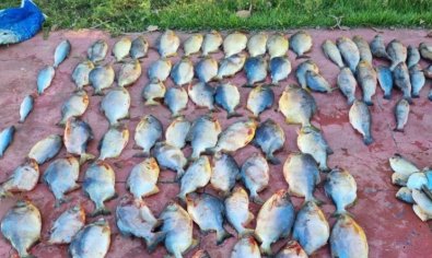 PESCADO IRREGULAR.jpg