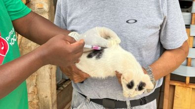 VACINACAO PETS1.jpg