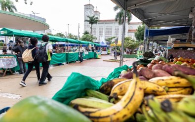 feira-agricultura-alencastro.jpg