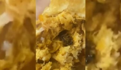 PASTEL BARATA.jpg