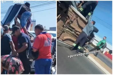 capoamento citrien c3.jpg