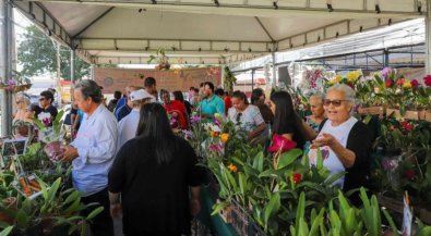 festival flores vg1.jpg
