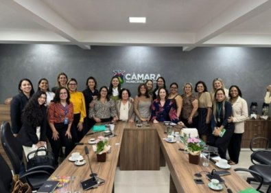 COMISSA DA MULHER.jpg