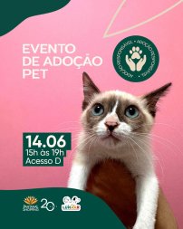 adocao animais