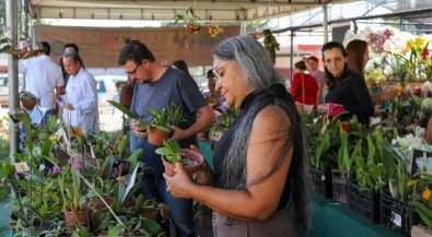 FESTIVAL FLORES1.jpg